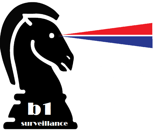 B1KNIGHTSURVEILLANCE Logo